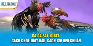 Đá Gà Sắt KUBET - Cách Chơi, Luật Đấu, Cách Soi Kèo Chuẩn
