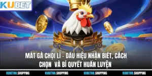 Mắt Gà Chọi Lì – Dấu Hiệu Nhận Biết, Cách Chọn Và Bí Quyết Huấn Luyện