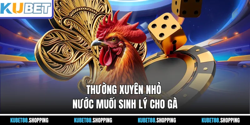 Thường xuyên nhỏ nước muối sinh lý cho gà
