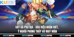 Vảy Gà Phủ Địa – Dấu Hiệu Nhận Biết, Ý Nghĩa Phong Thủy