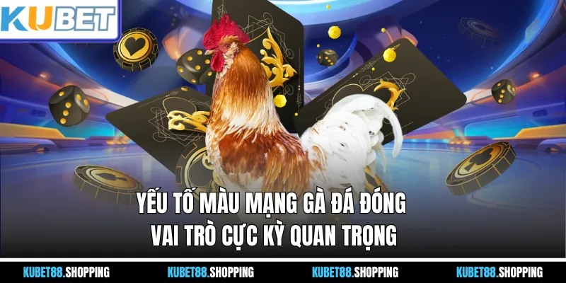 Yếu tố Màu Mạng Gà Đá đóng vai trò cực kỳ quan trọng